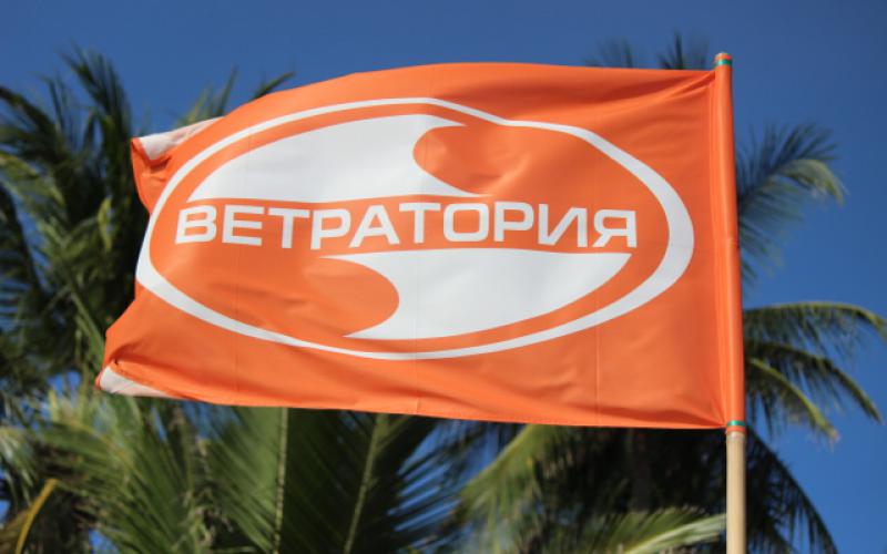 Фото Новый Год Под Пальмой